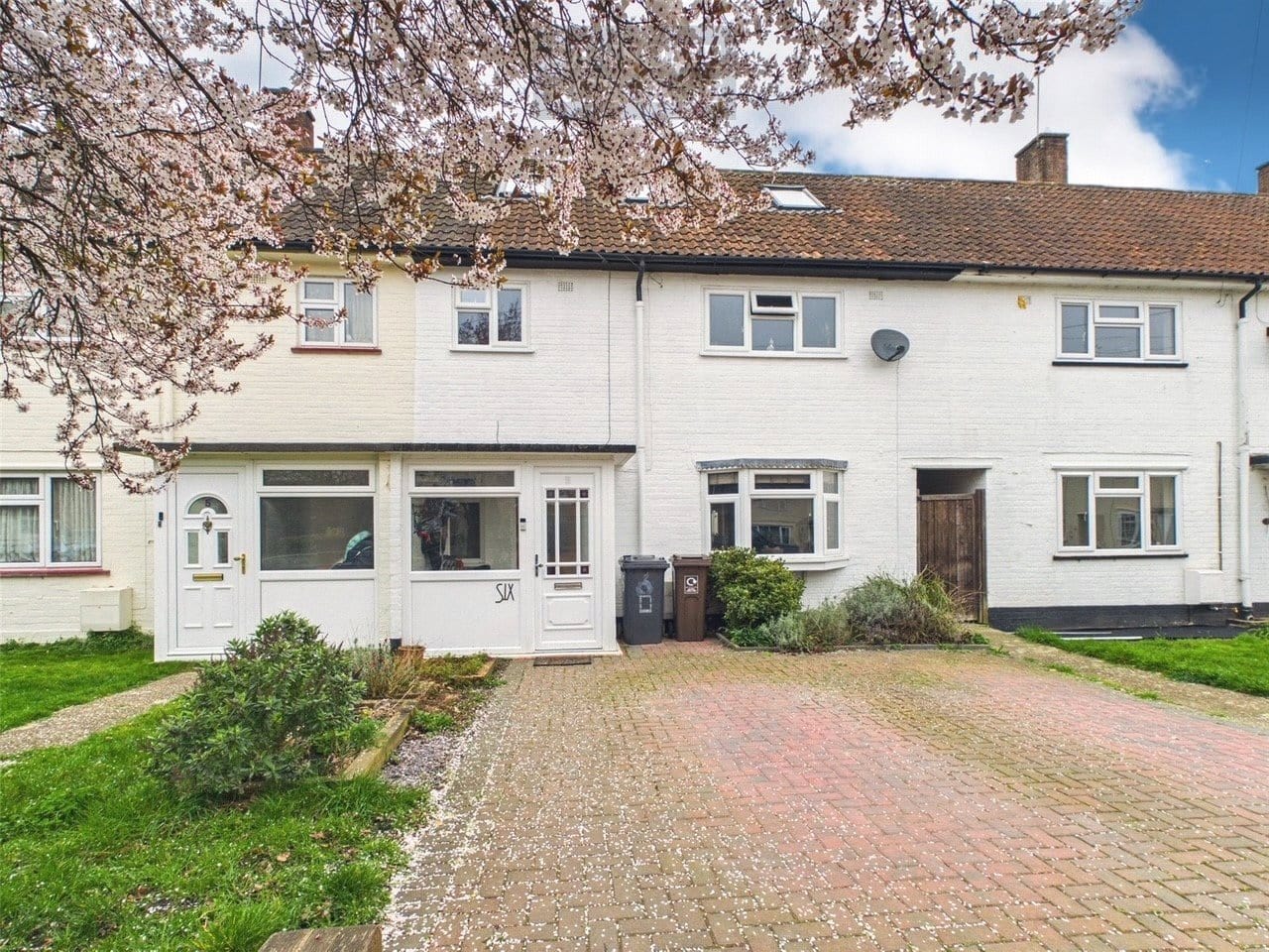 Number 36