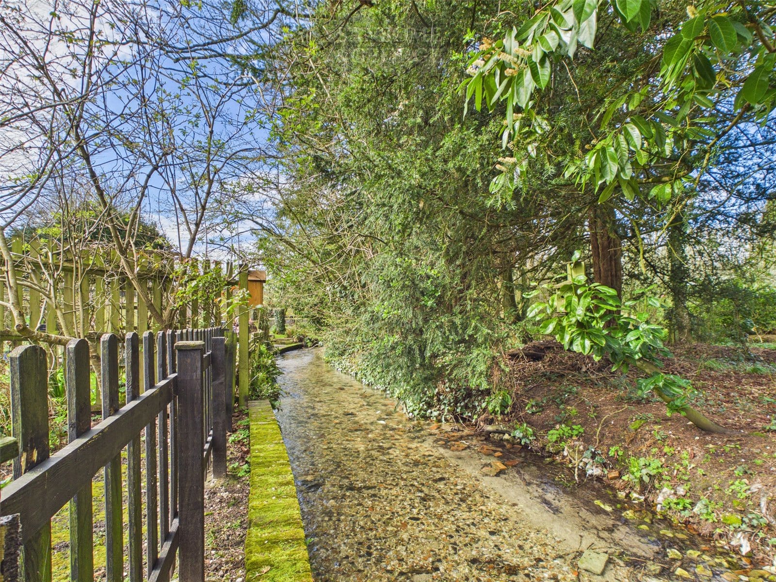 Number 19