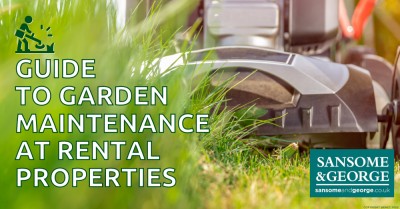 Garden Maintenance: Tenant and Landlord Responsibilities Explained