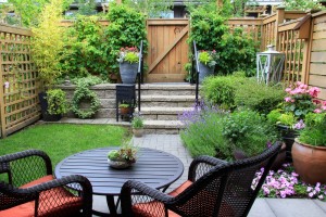 How your garden can add value to your property